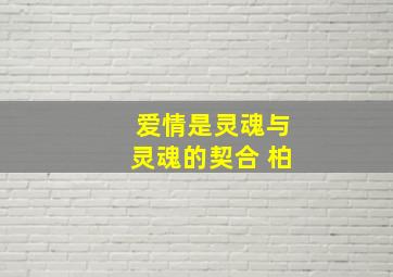 爱情是灵魂与灵魂的契合 柏